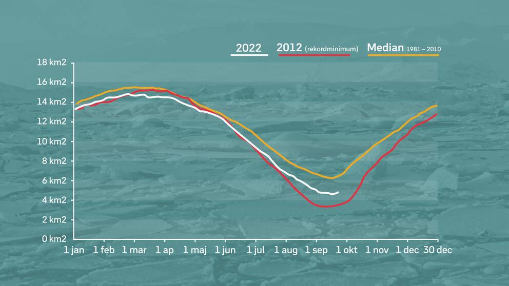 Arktisk yta över året. Gul linje är medianvärdet åren 1981-2010, Röd linje år 2012, då den hittills minsta isytan uppmätts. Vit linje är mätvärden för 2022.
