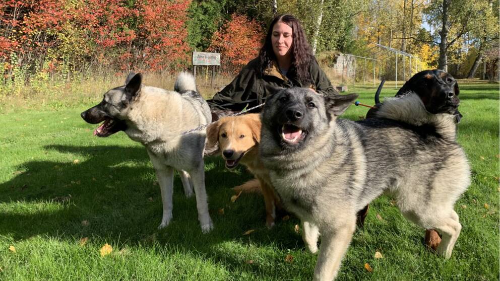 Johanna Karlsson utomhos med sina hundar i sitt hem i Nora