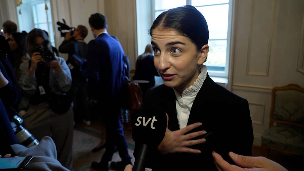Romina Pormoukhtari (L) är sveriges nya klimat- och miljöminister.