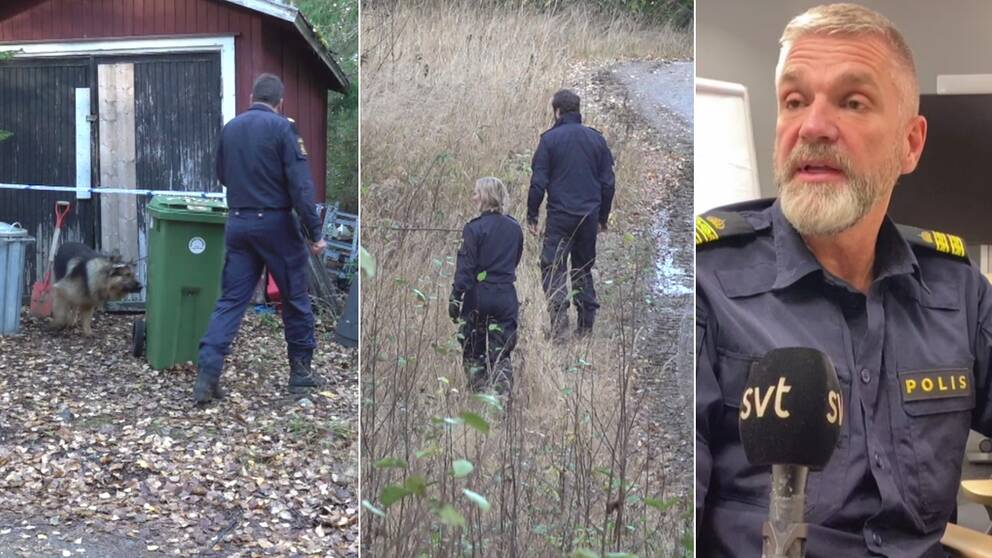 Spaningar efter försvunnen kvinna, Peter Wikberg vid polisen i Västernorrland.