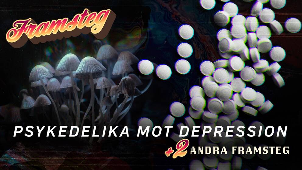 Framsteg – Psykedelika mot depression