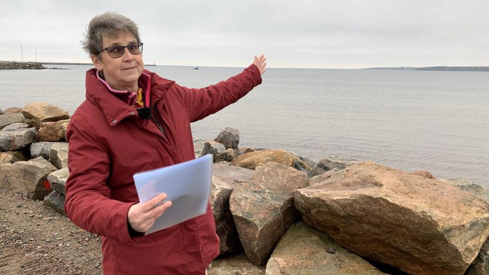 Trots att vindkraftverken kommer befinna sig 2,5 mil ut i havet, kommer de ändå vara synliga från land, säger landshövdingen Britis Benzler.