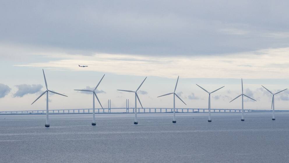 Mycket vind den senaste månaden är en av flera orsaker till det låga elpriset i södra Sverige i oktober månad.