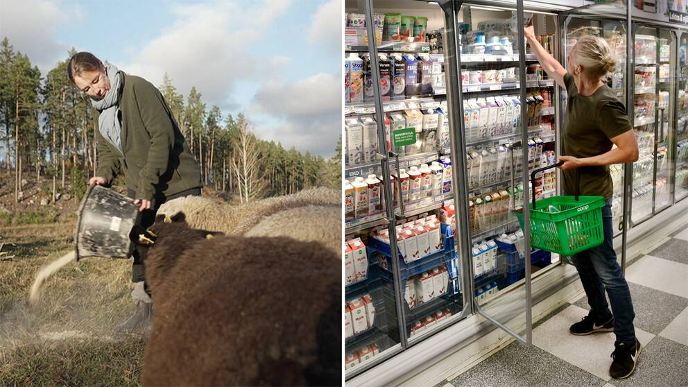 Till vänster lantbrukaren Erika Olsson som matar sina får, till höger en person som plockar en vara från kyldisken i en butik.