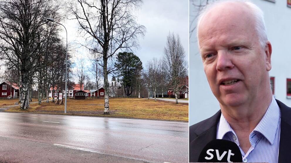 Delad bild – till vänster en bild på en markyta där det står björkar på. Till höger en bild på en man med vitt hår och blå-vit randig skjorta.