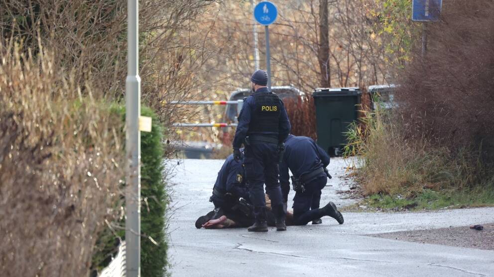 En person gripen i ett bostadsområde för mord i Skogås.