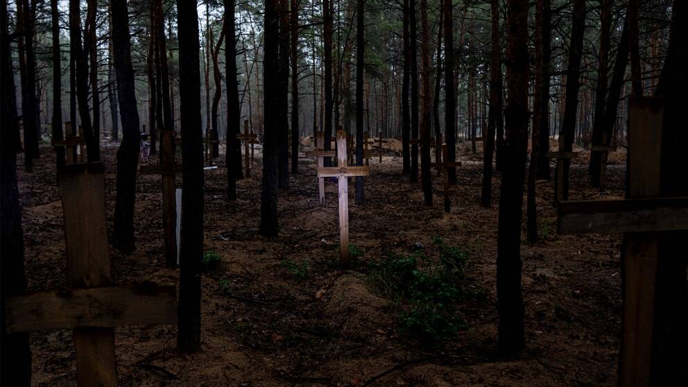 Bilden föreställer en massgrav i Izium med ett upplyst kors i trä bland flera gravar i en mörk skog.