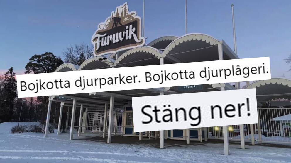 kollage med text om att stänga djurparker, ovanpå bild på entrén till Furuviksparken