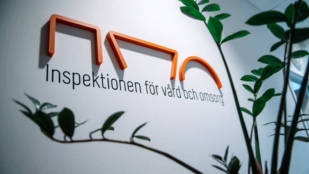Logotypen för Inspektionen för vård och omsorg, IVO, på en vit vägg. I förgrunden en grön växt.