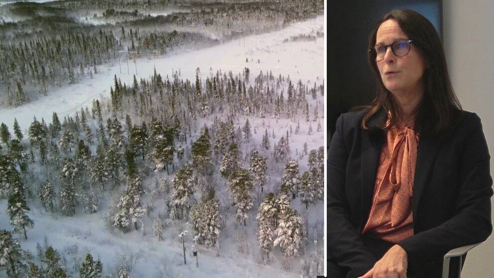 Till vänster ser ni skogen från en drönares perspektiv. Till höger ser Maria Reinholdsson bekymrad ut.
