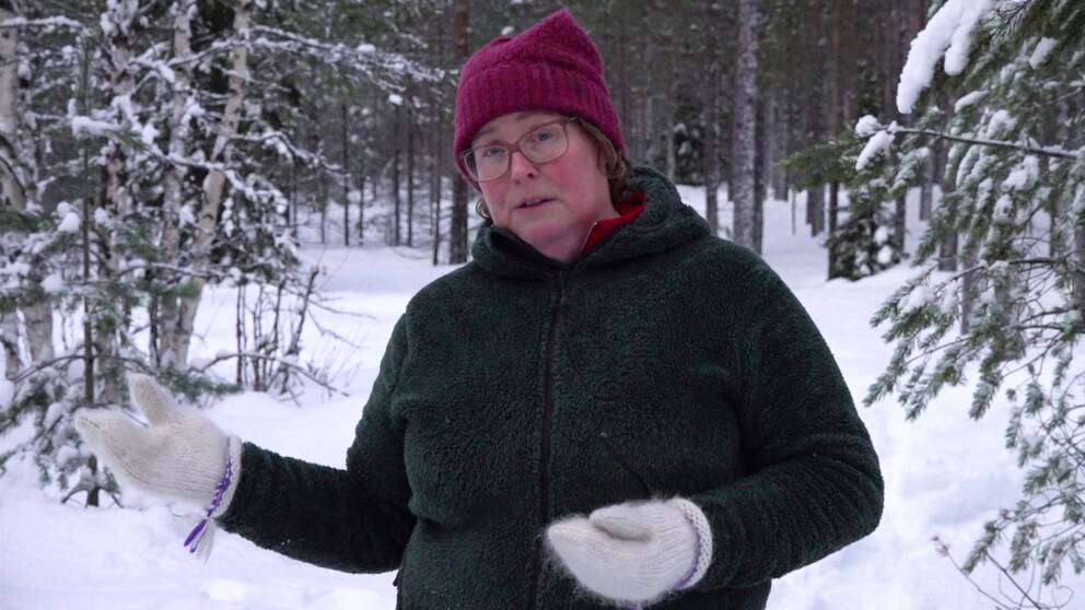 Jenny Karlsson, skogsägare och ordförande för LRF Norrbotten.
