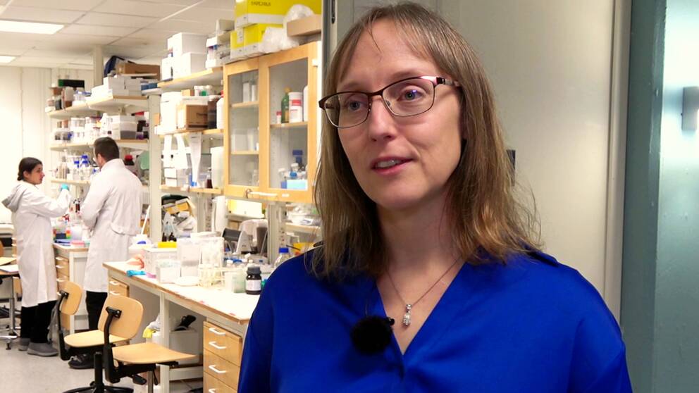 Cecilia Wallmark, verksamhetsledare för Luleå tekniska universitets vätgassatsning.