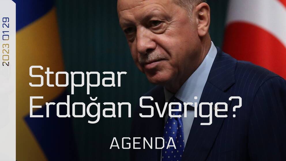 Vilken roll spelar Turkiet i Nato och hur har den senaste tidens händelser påverkat Sveriges möjlighet att släppas in i försvarsalliansen – Sön 29 jan 21:15