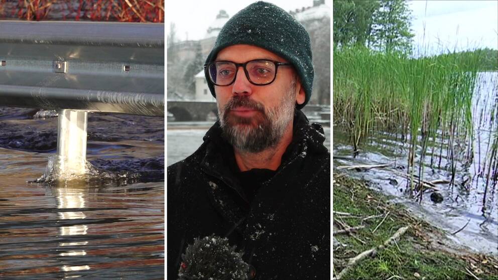 Tredelad bild: En översvämning på en väg med ett vägräcke som sticker upp ur vattnet, Christian Tunelind från Länsstyrelsen i Örebro län och vass vid en sjö.