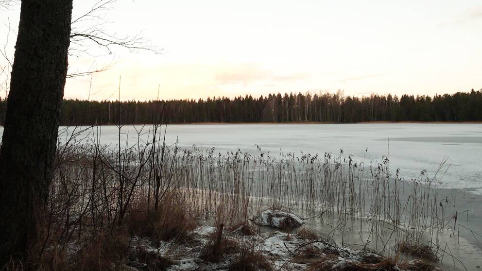 En bild på en frusen sjö.