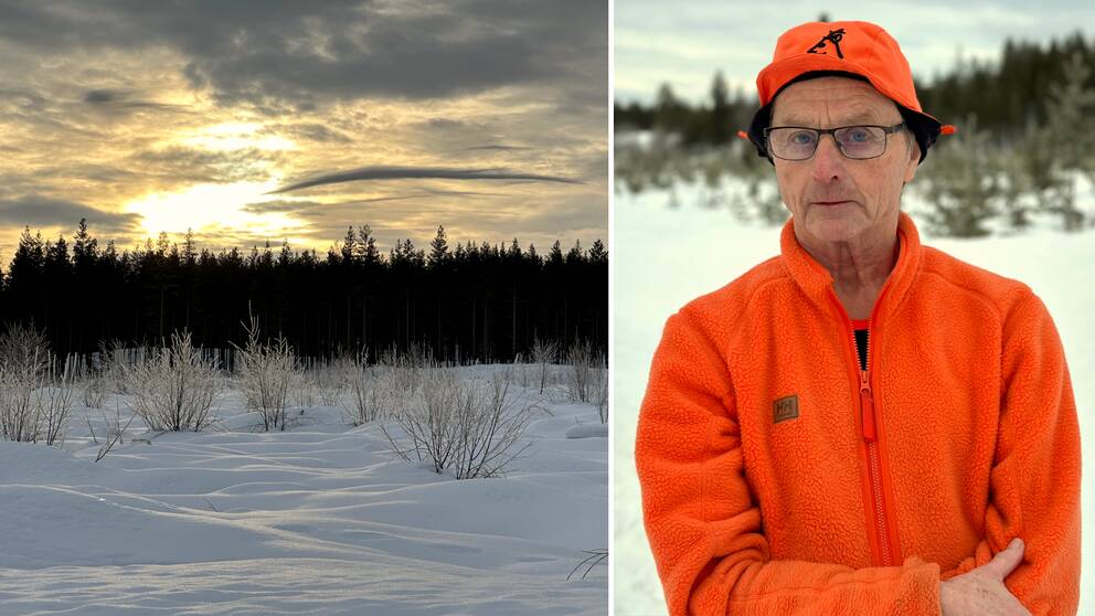 Bild på skog och Lars Ledin.