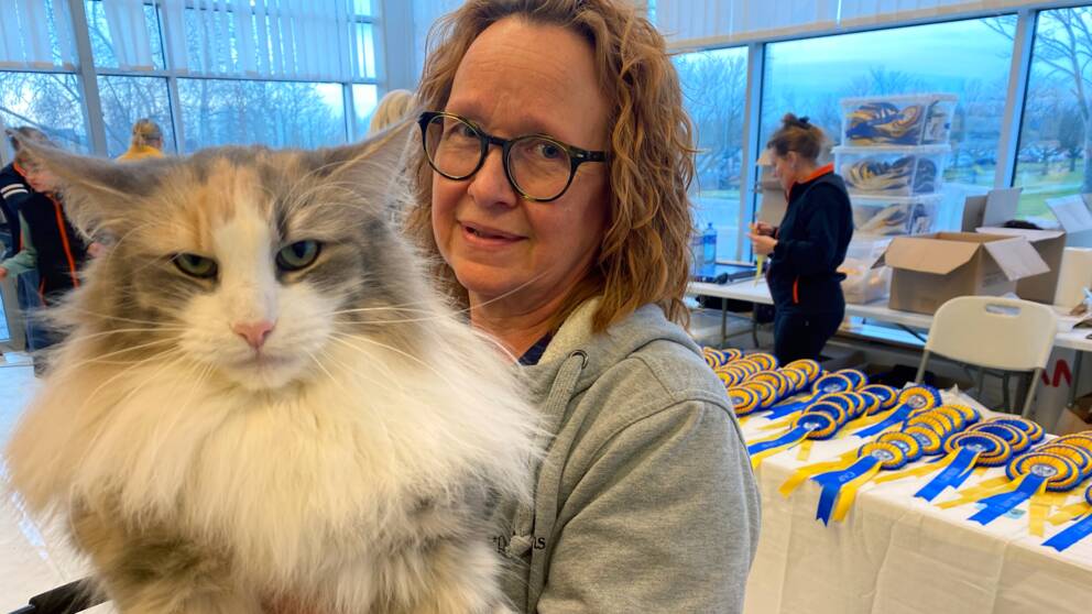 En kvinna (Ewa Jansson) håller i en katt (Dalkullans E.T.), på ett bord bakom ligger rosetter