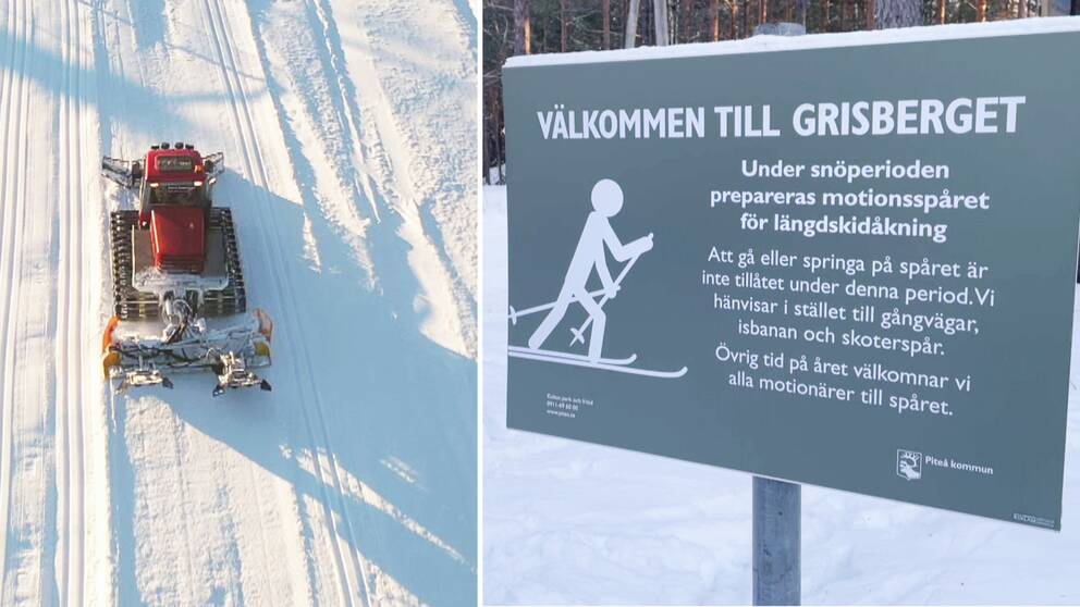 Bild på en pistmaskin som preparerar skidspåret på Grisberget i Piteå och en förbudsskylt som tydligt markerar att det är förbjudet att gå eller springa på spåret under snöperioden.