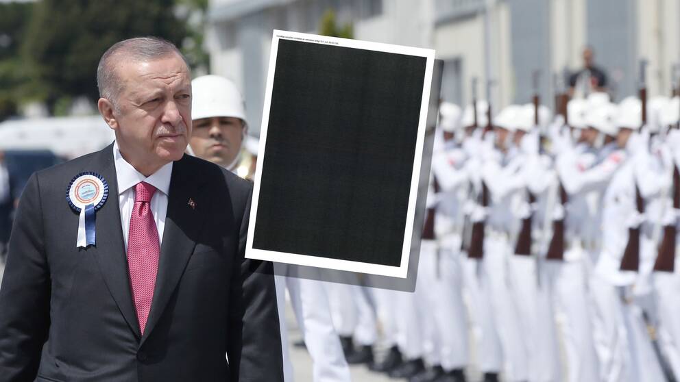 Turkiets president  Recep Tayyip Erdogan under en ceremoni i maj i fjol, samt en inklippt bild på ett maskat beslut. Bilden är ett montage.