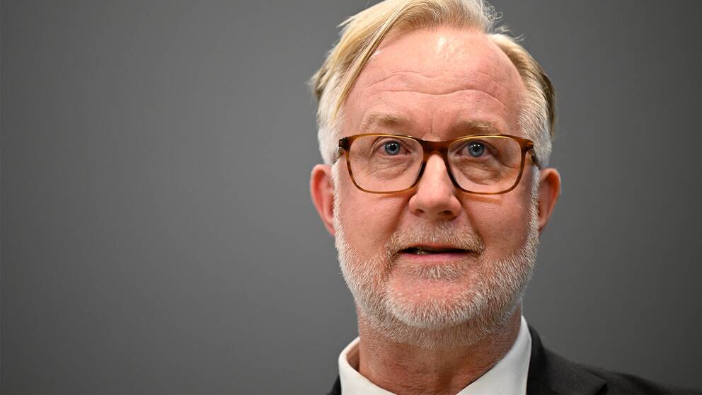 Liberalernas partiledare, arbetsmarknads- och integrationsminister Johan Pehrson.
