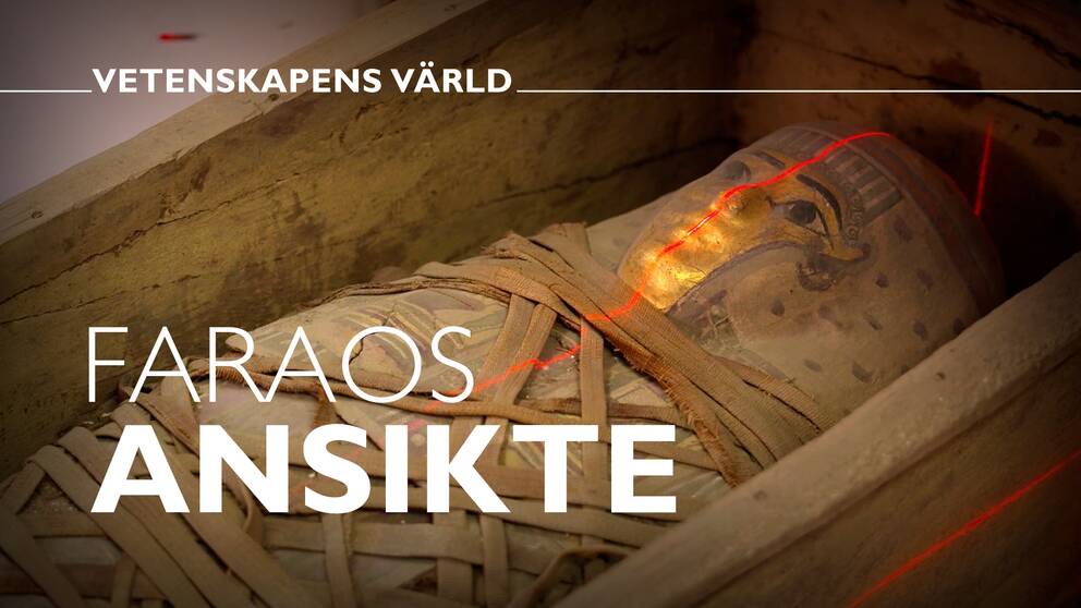 Vetenskapens värld: Faraos ansikte