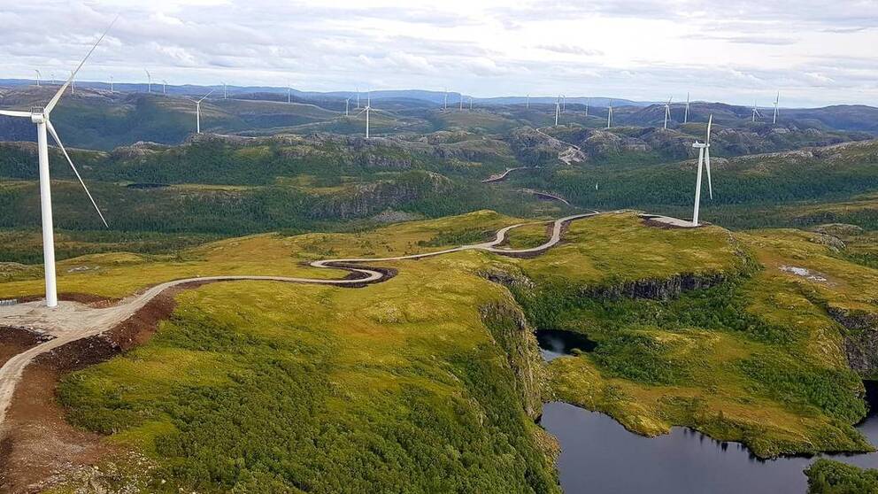 Vindkraftparken på Fosen.