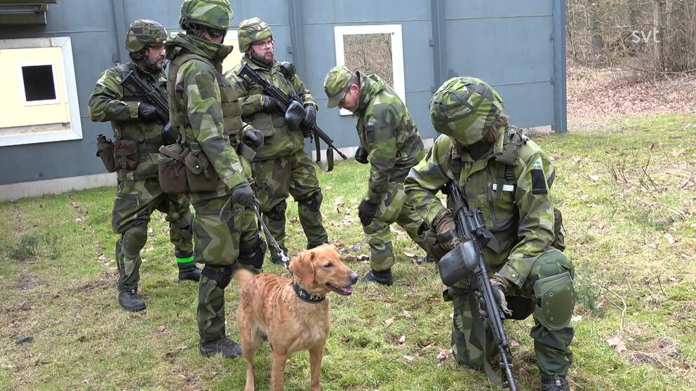 Fem personer övar med Hemvärnet i militärfärgade kläder tillsammans med en ljusbrun hund.