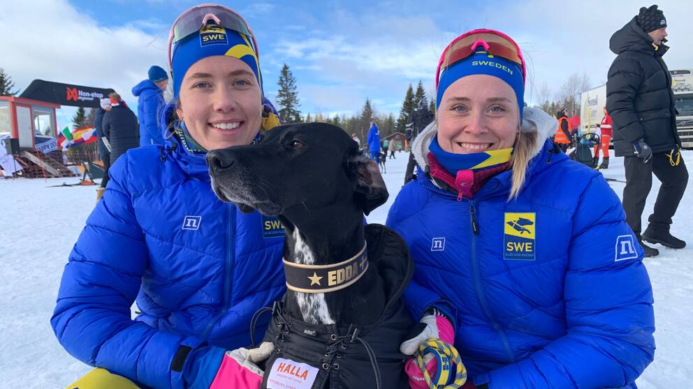 Två landslagsklädda svenska draghundssportare tillsammans med en svart hund.
