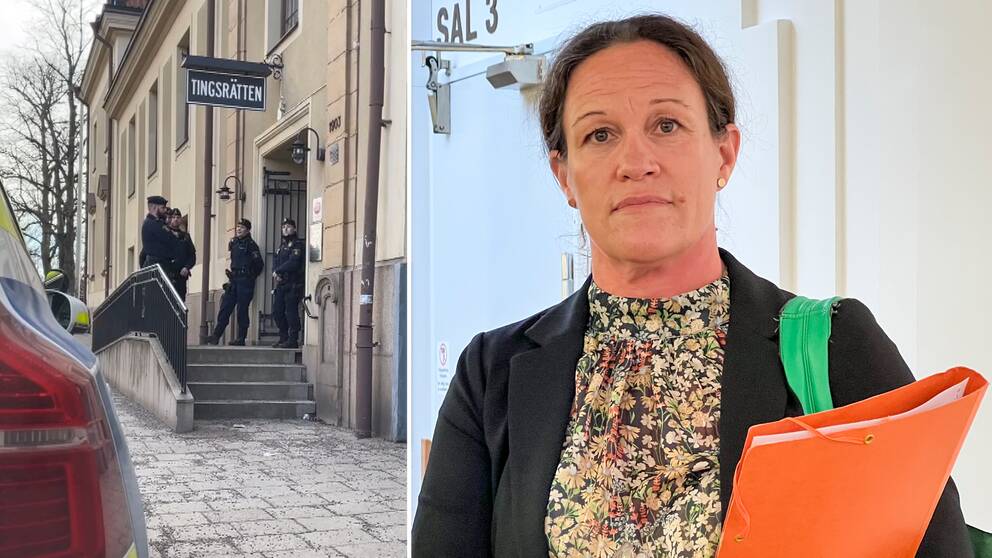 Anna Jakobsson, vice chefsåklagare