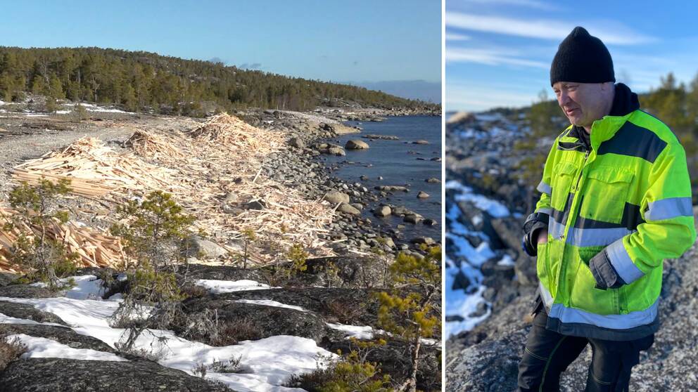 Till vänster: Bild på det uppspolade virket vid kusten utanför Härnösand. Till höger: Mikael Danielsson på Höga Kusten Sjöentreprenad står i varselkläder vid kusten.