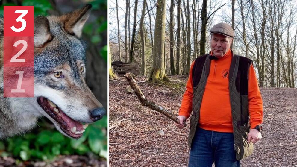 Bild på Lasse Persson ordförande i Jägareförbundet Skåne hållande en pinne