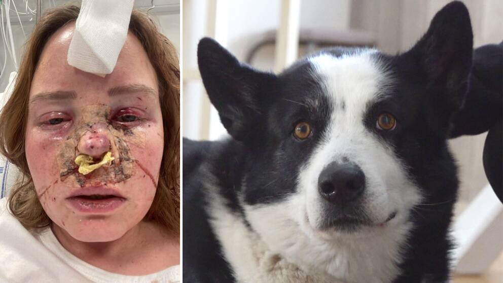 Matte Charlotta Oskarsson och hunden Prins. 