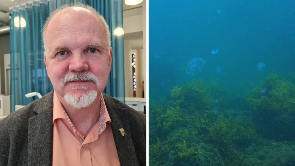 Mikael Krysell, enhetschef på Havs- och vattenmyndigheten i ett kollage med bild på undervattensmiljö.