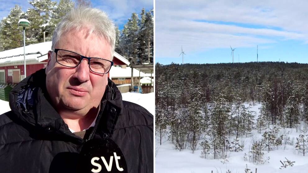 en man som är politiker, hans unander, och vindkraftverk i en skog.