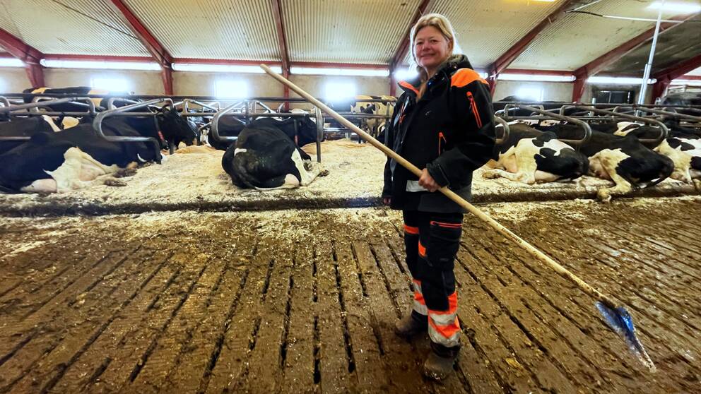 Mjölkbonden Anne-Marie Lindén står inne i ett kostall.