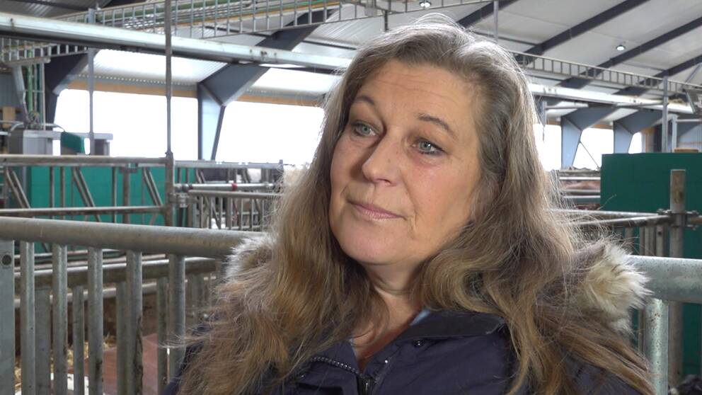 En kvinna, Lisa Andersson, som står inne i en ladugård.