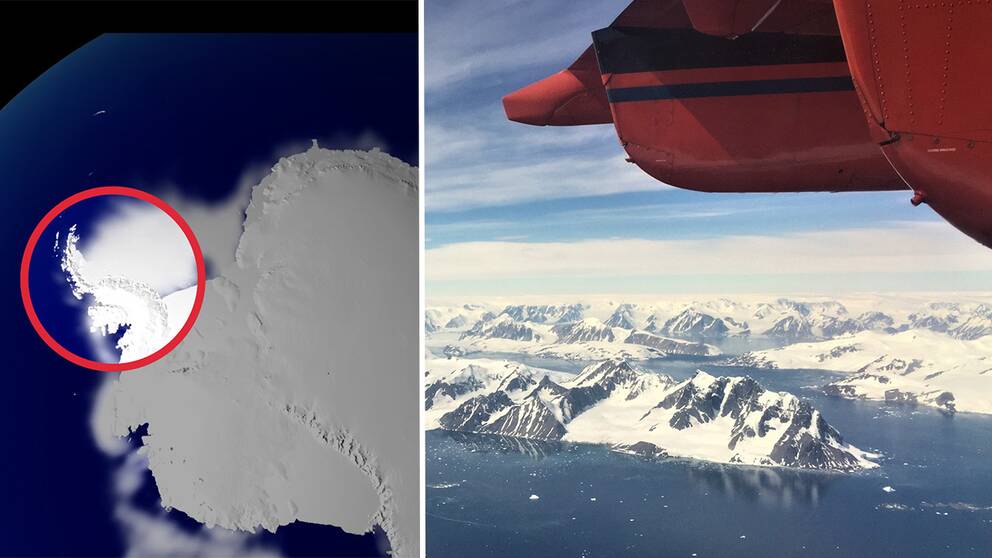 Klimatförändringar, Antarktiska halvön, IPCC