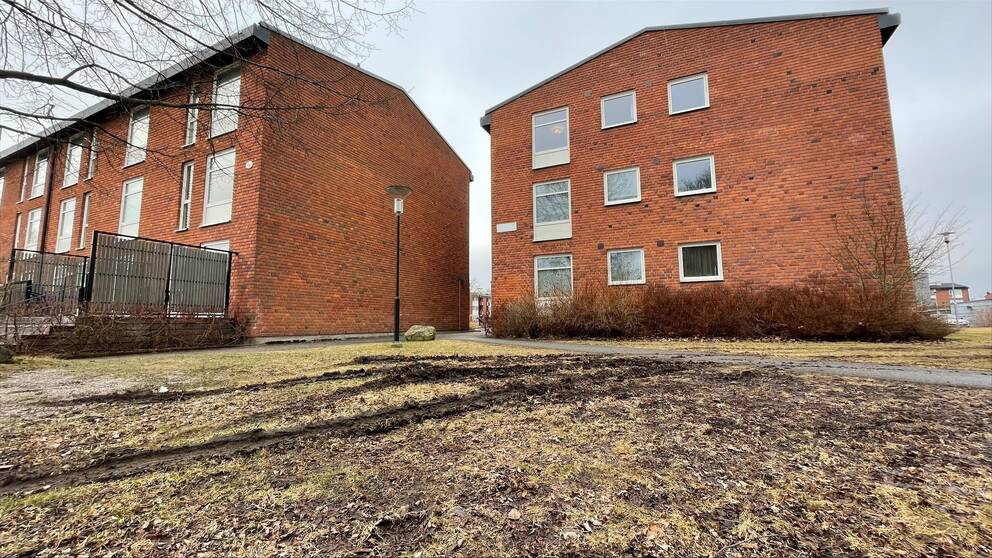 Två byggnader och hjulspår i marken