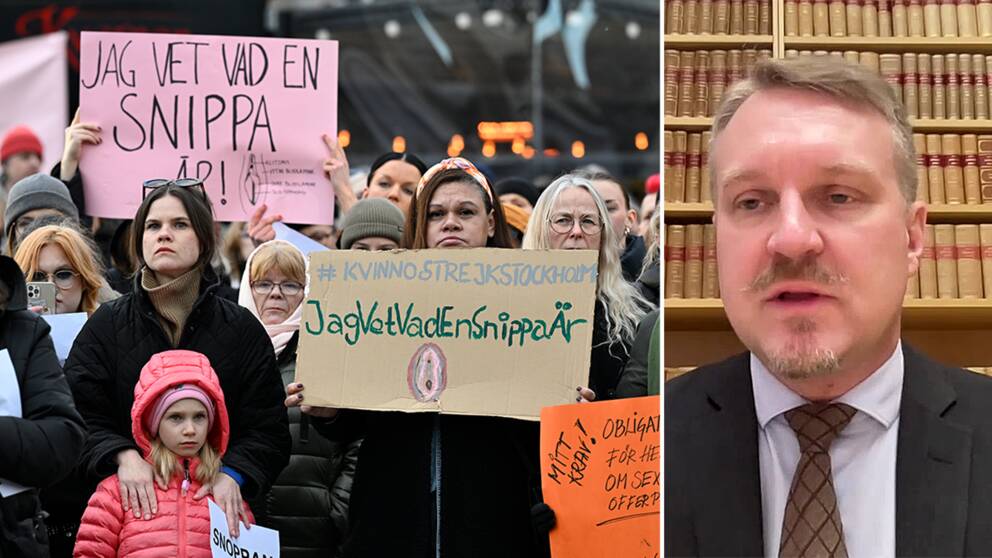 Professorn: Hög sannolikhet att HD tar upp ”snippa-målet”