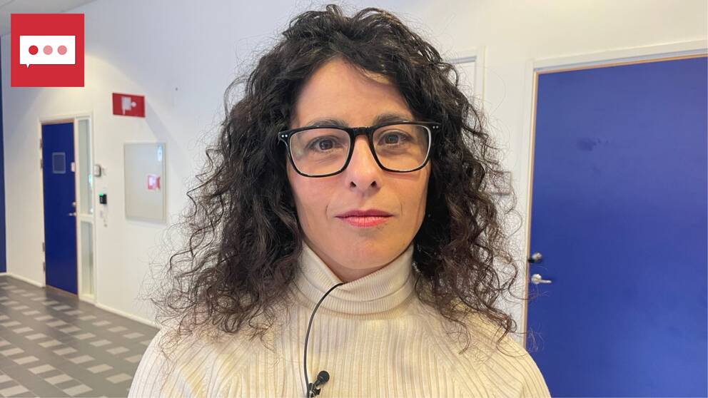 Einav Peretz, programansvarig för AI engineering vid Jönköping University.