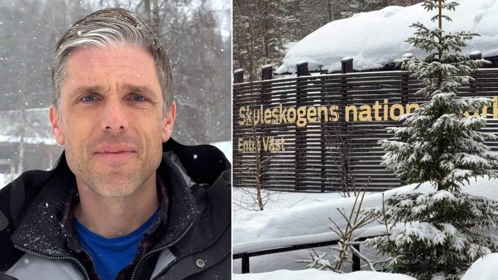 Bild på Torbjörn Engberg, chef över natur i Höga kusten och en bild på Skuleskogens entré syd.