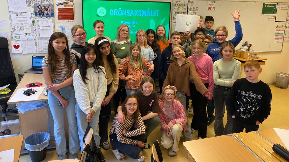 Eleverna i klass 5A på British junior i Eskilstuna står i klassrummet för en gruppbild, med en projektor som projicerar ”Grönsaksmålet” på tavlan.