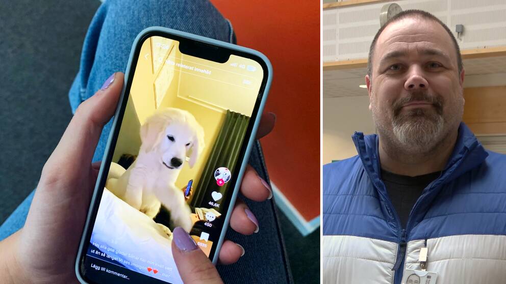 Person bläddrar i tiktok, till höger bild på Mårten Frosth på region Västernorrland