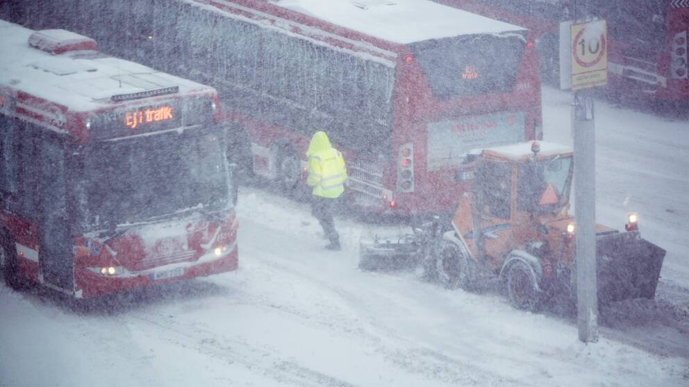 Snöfall över bussar