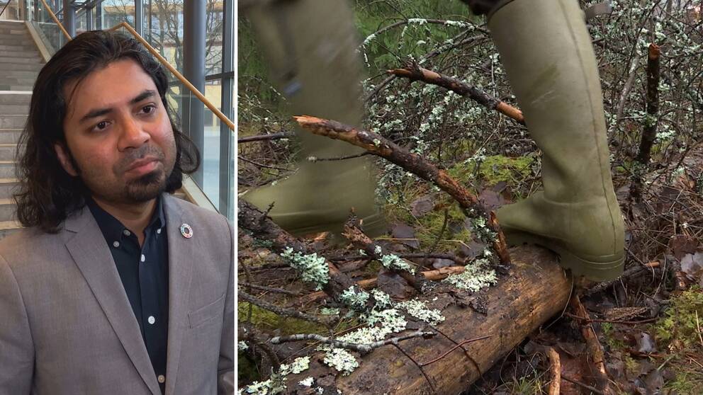 Hör forskningsledaren Avit Bhowmik berättat mer om hur viktiga skogsägarna är för klimatet.