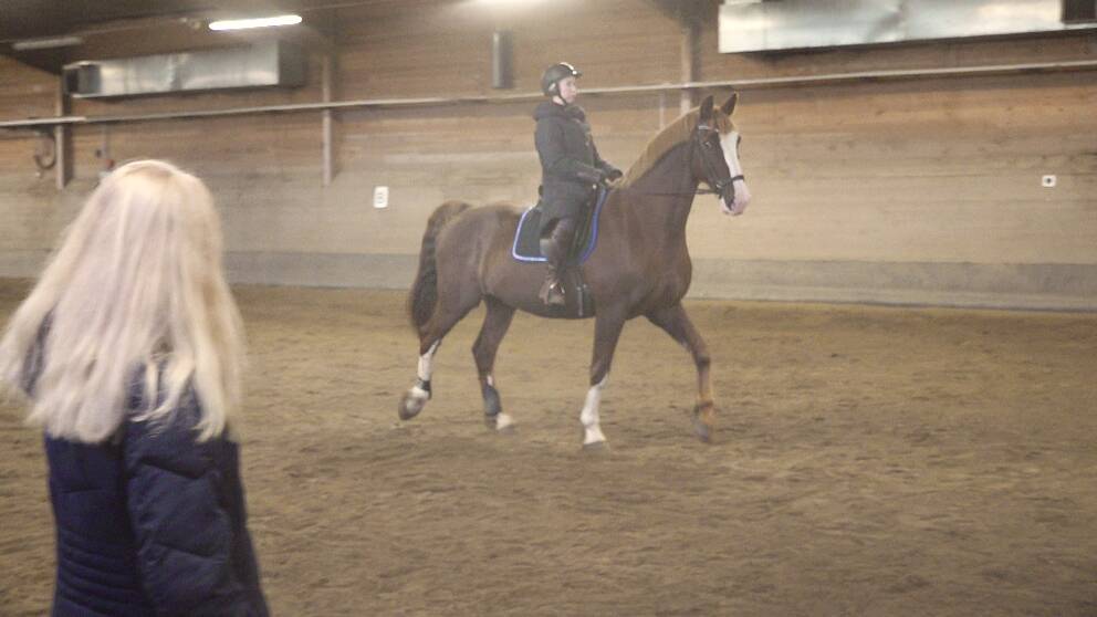 En häst och ryttare tränar dressyr på Ridklubben Dundret.