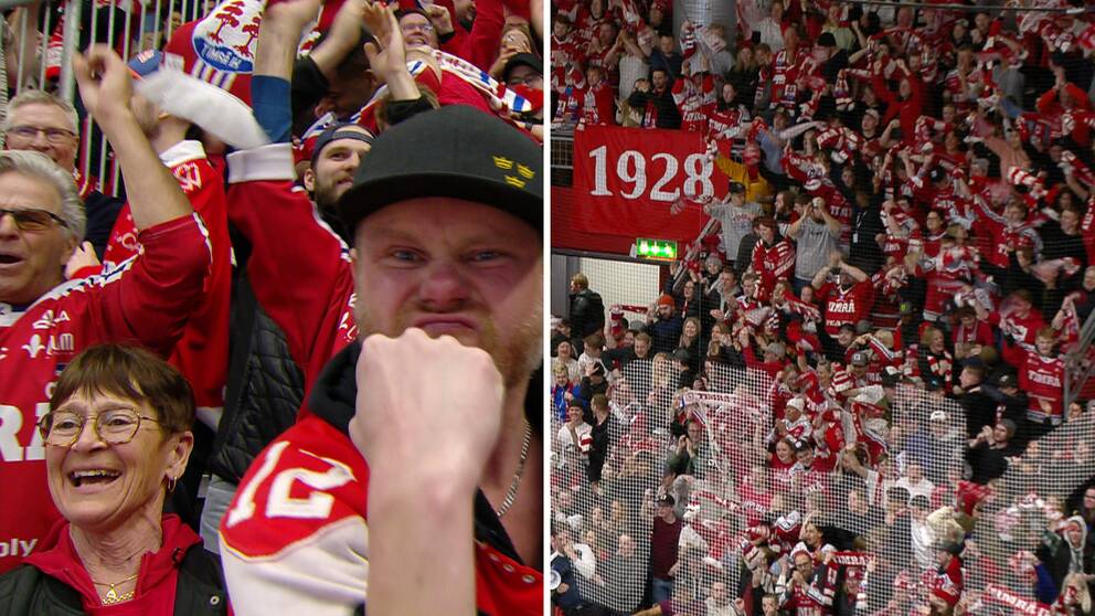 Timråfans ser lyckliga ut på läktaren