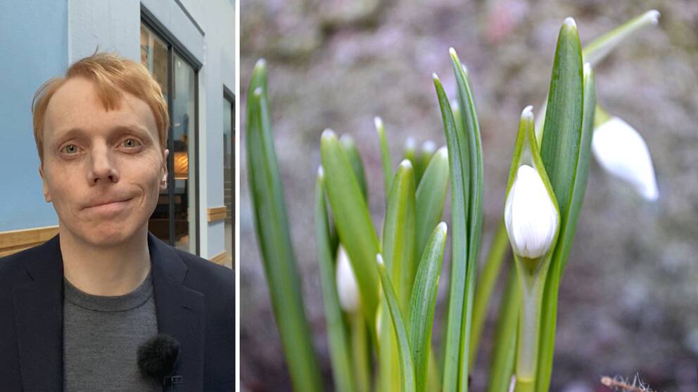 Hör SVT:s meteorolog Marcus Sjöstedt berätta om när våren vanligtvis brukar komma till Värmland.