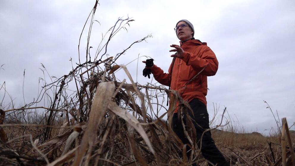 Naturvårdschefen Mattias Lindholm på Västkuststiftelsen står i ett naturreservat.