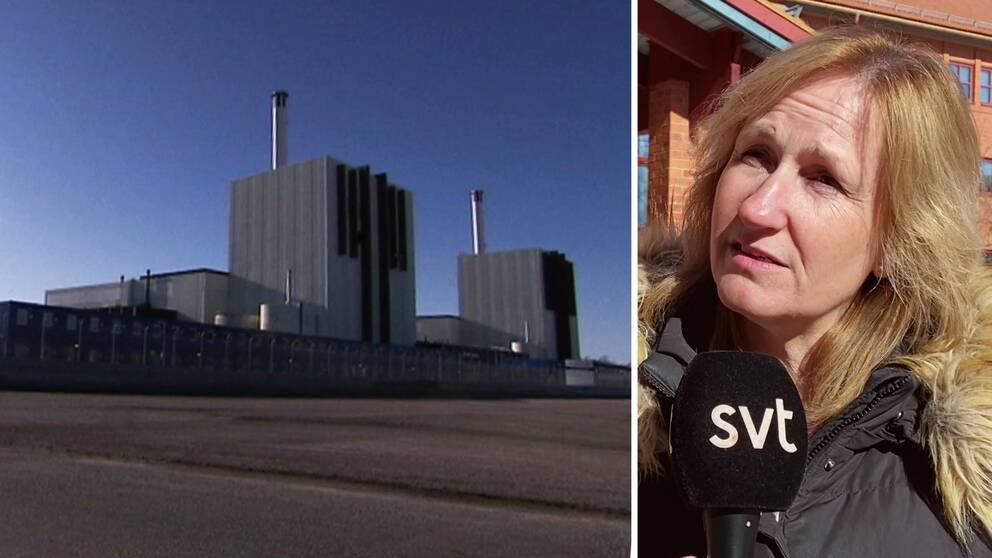 kärnkraftverk och politikern anna hed (c)